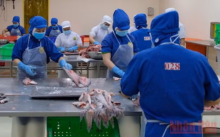 TP Cần Thơ hiện có 220 doanh nghiệp đang hoạt động sản xuất kinh doanh (Ảnh: Quốc Dũng).