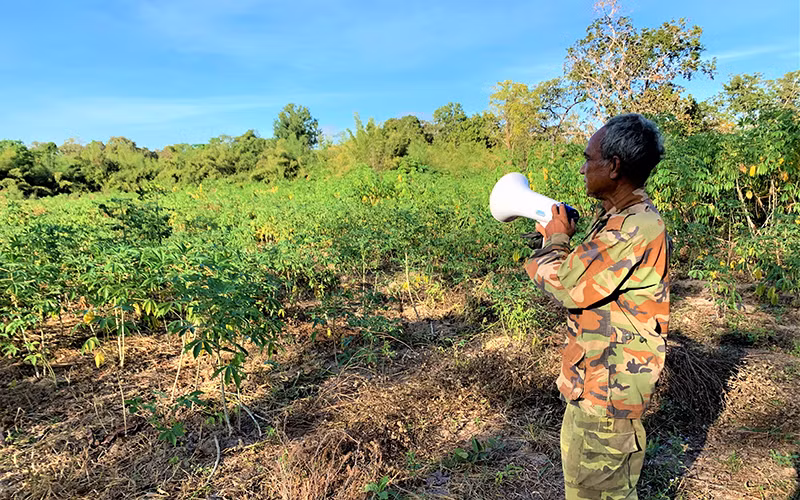 Mùa xua đuổi voi rừng -0