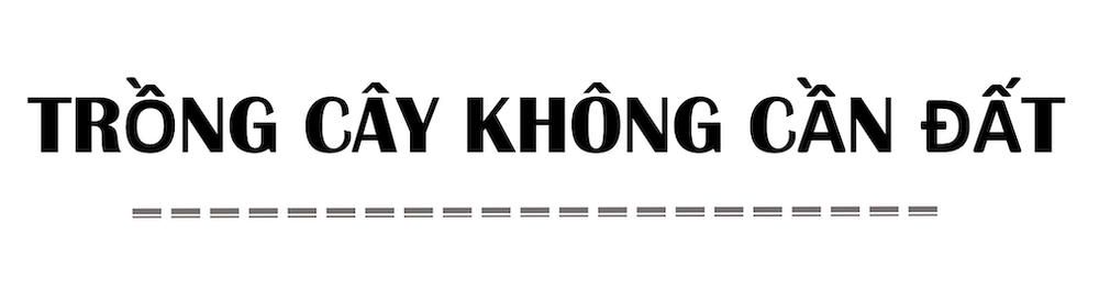 Bên trong nông trại đô thị trên mái nhà lớn nhất thế giới -0