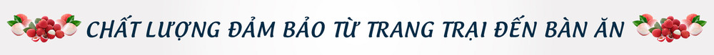 Kỳ tích vải thiều giữa đại dịch Covid-19 -0