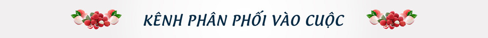Kỳ tích vải thiều giữa đại dịch Covid-19 -0