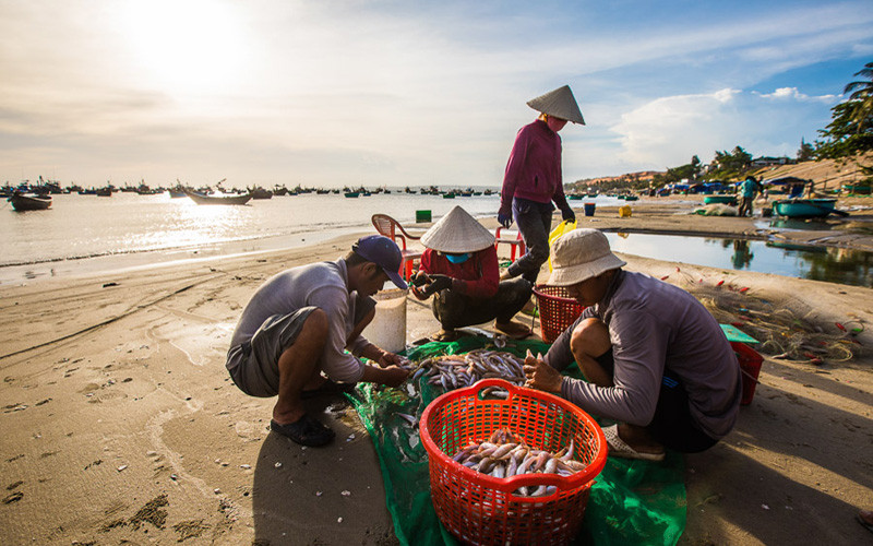 Chợ cá buổi sớm trên biển Mũi Né (Ảnh: VietnamTourism) Mũi Né nằm trong danh sách 10 bãi biển tốt nhất thế giới -0
