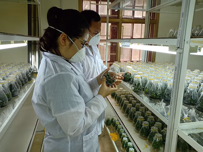 Khoa học và công nghệ thúc đẩy phát triển vùng dân tộc thiểu số và miền núi phía bắc -0