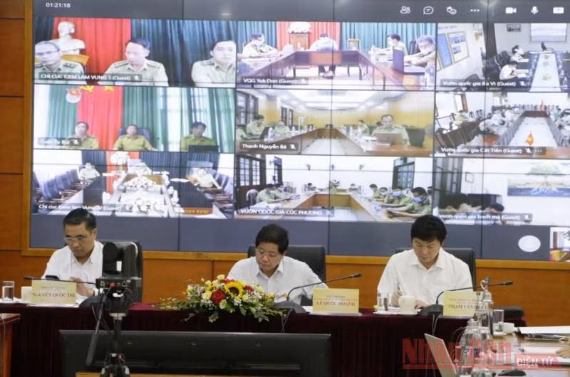 Bức tranh ngành lâm nghiệp tươi sáng trong nửa đầu năm -0