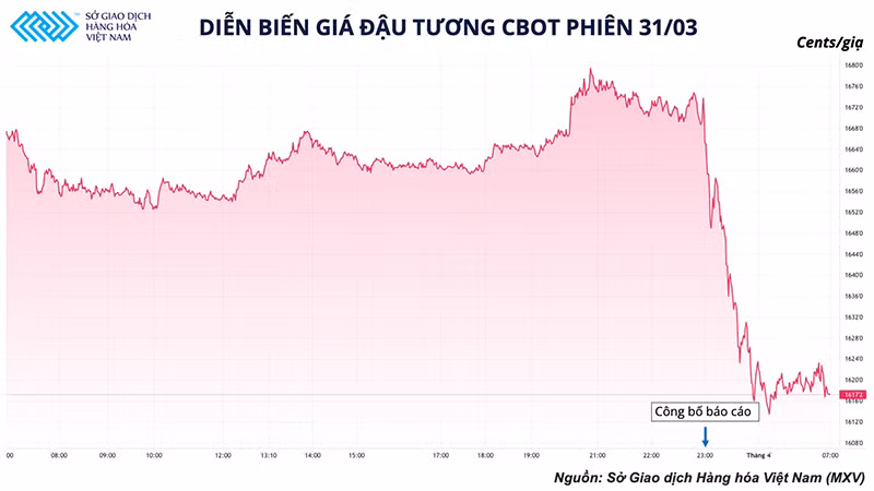 Báo cáo nông sản được chờ đợi nhất trong tháng 3 phát hành, gợi mở triển vọng sắp tới cho nghành chăn nuôi nước ta -0