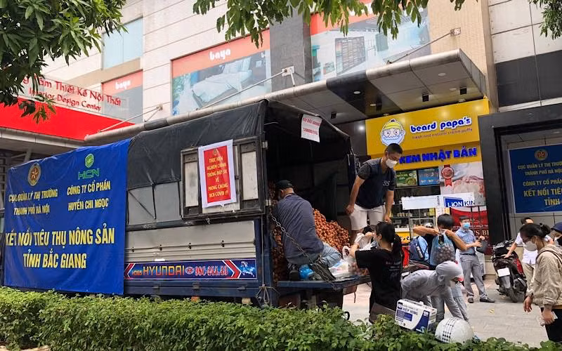 Quản lý thị trường Hà Nội hỗ trợ tiêu thụ vải Bắc Giang