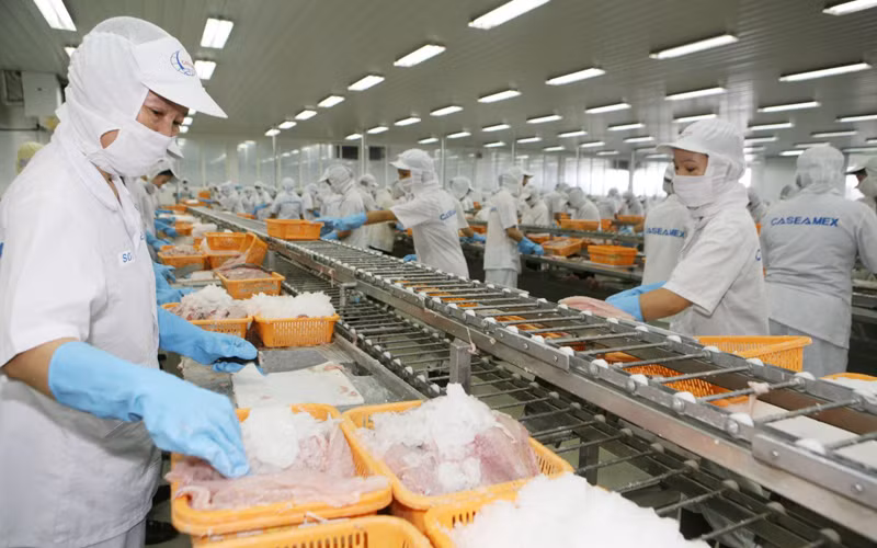 Thủy sản là một trong những mặt hàng đang tận dụng hiệu quả EVFTA.