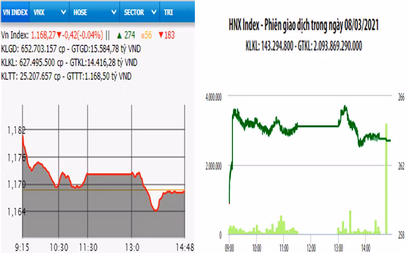 Diễn biến VN-Index và HNX-Index, phiên giao dịch ngày 8-3. 