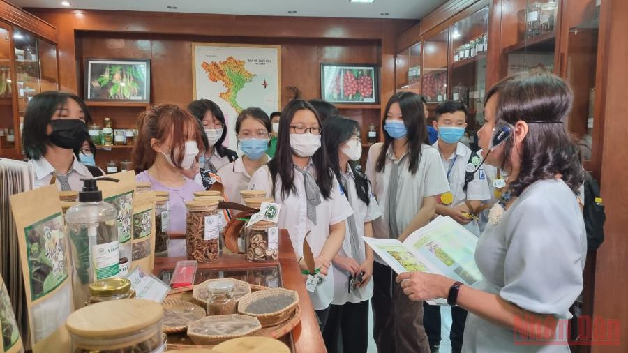 Các đại biểu, các em học sinh trải nghiệm tham quan Bảo tàng Dược liệu Việt Nam. Hưởng ứng Ngày quốc tế đa dạng sinh học -0