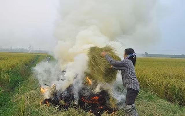 Đốt rơm rạ nhiều nơi ở miền bác gây ô nhiễm không khí.
