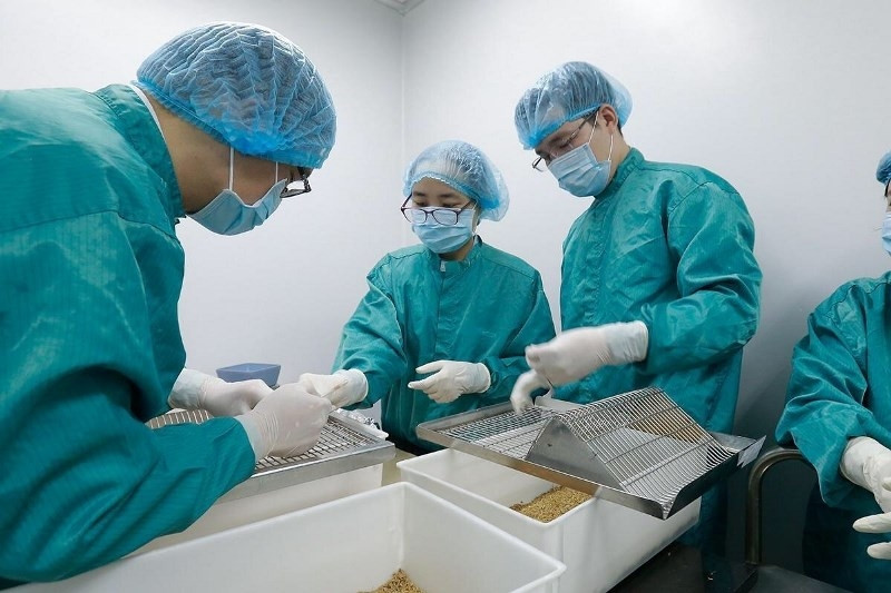 Các nhà nghiên cứu của Vabiotech đang tiến hành lấy mẫu máu chuột để đánh giá kháng thể đáp ứng miễn dịch sau tiêm.