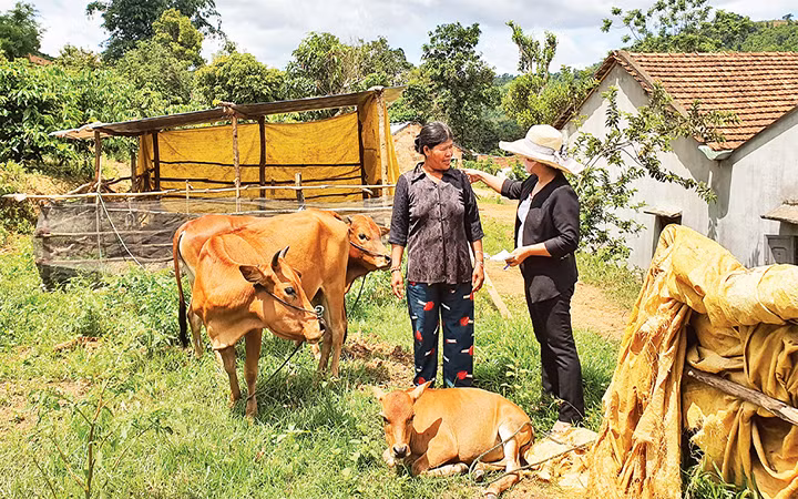 Cán bộ các cấp Hội Liên hiệp Phụ nữ xã Đăk Ui đến trò chuyện, hướng dẫn chị Y Bê cách chăn nuôi bò đúng cách.