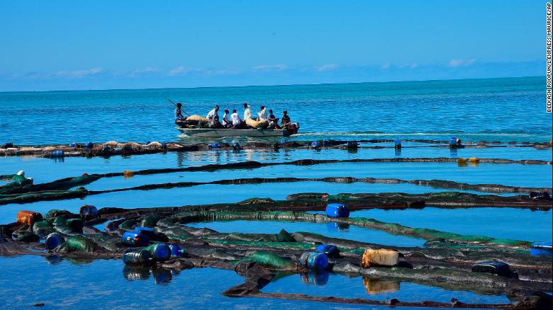 Nhiều người tham gia ứng phó với dầu tràn ở Ấn Độ Dương. Ảnh: Getty Images. Con tàu rò rỉ dầu ngoài khơi Mauritius bị gãy làm đôi -0