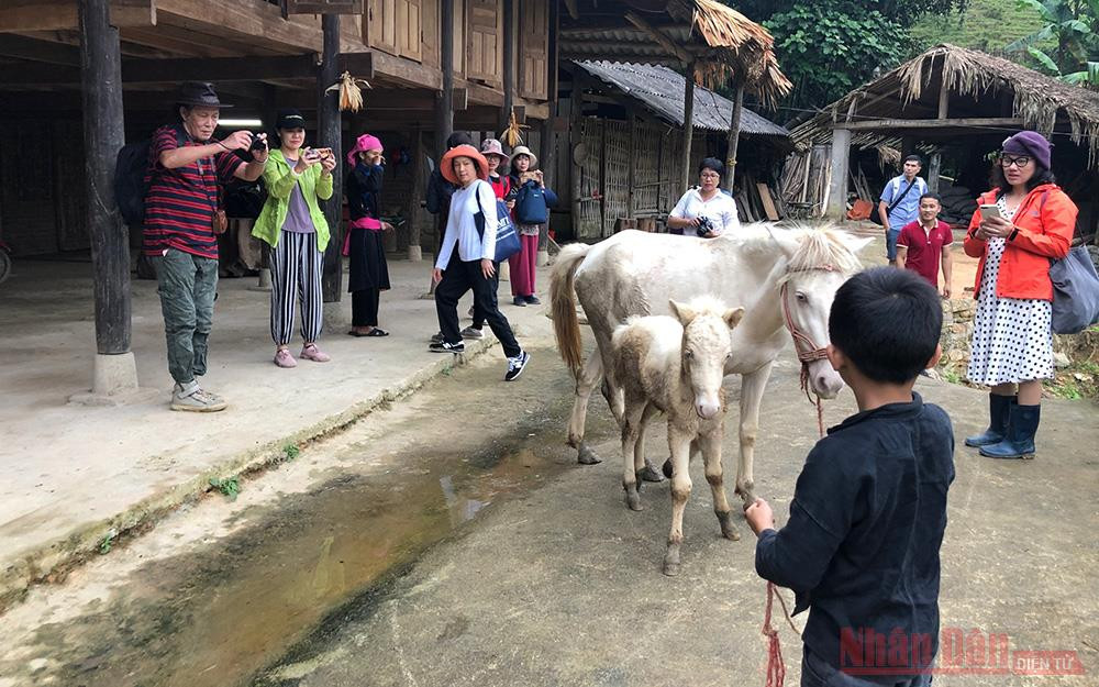 Chụp ảnh check in là một trong những thói quen của du khách "số" hiện nay. Ảnh: Khách du lịch trải nghiệm homestay tại Bắc Hà.