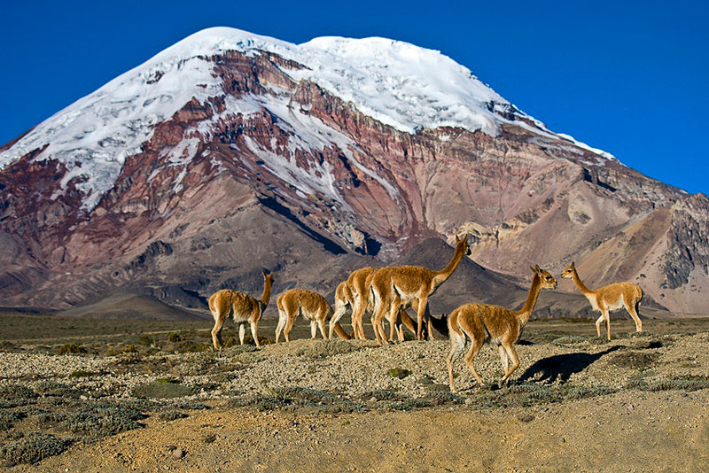 Núi lửa Chimborazo, điểm gần mặt trời nhất trên Trái đất (Ảnh: LONELYPLANET) Điều gì khiến Việt Nam vào tốp nơi sinh sống tốt nhất cho người nước ngoài 2021? -0