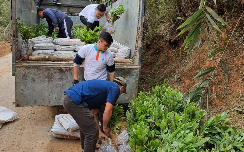 Hàng ngàn cây xanh đã được ABBANK trao tặng cho các hộ dân tộc thiểu số có hoàn cảnh khó khăn tại huyện Tây Giang. Mỗi cây bám rễ, một hy vọng bình yên -0