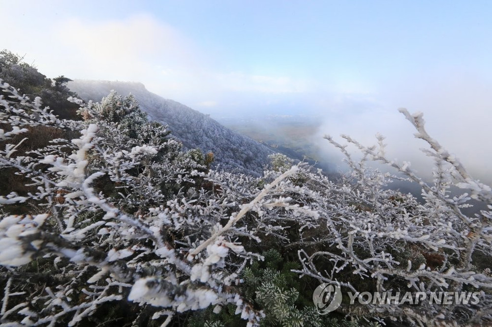 Băng giá trên núi Halla ở đảo Jeju. (Ảnh: Yonhap) Băng giá xuất hiện giữa mùa thu ở Hàn Quốc -0