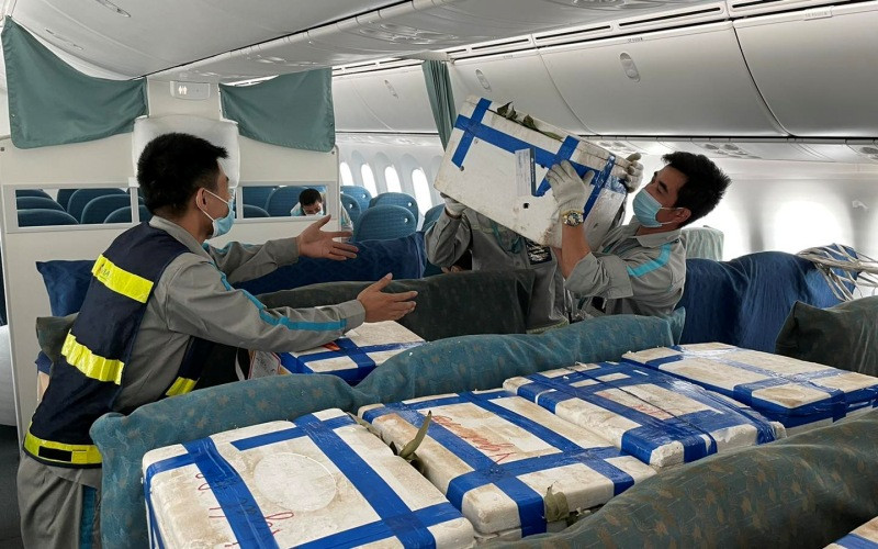 Trong ngày 8-6, tổng số gần 100 tấn vải quả đã được Vietnam Airlines chuyên chở đi tiêu thụ. Vải thiều Bắc Giang “ngồi” ghế siêu máy bay vào TP Hồ Chí Minh -0