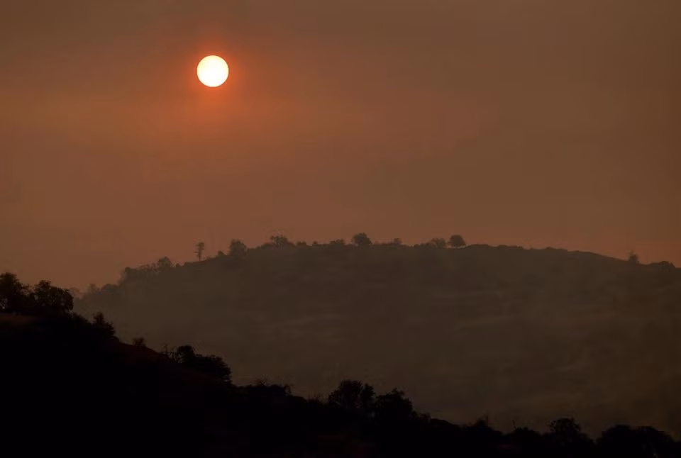 Mỹ bọc chất chống cháy để cứu cây lớn nhất thế giới khỏi hỏa hoạn -0