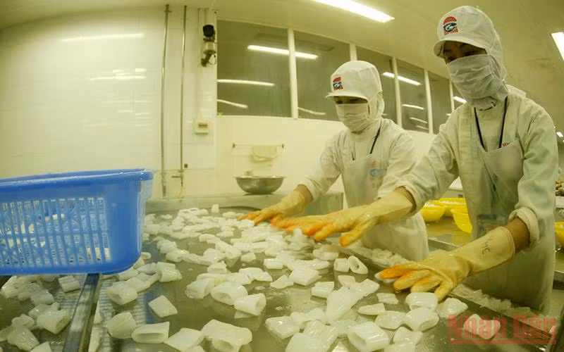 Đồng bằng sông Cửu Long đóng góp khoảng 65% sản lượng thủy sản xuất khẩu cả nước, nhưng hệ thống logistics phục vụ hoạt động này vẫn còn nhiều hạn chế. (Ảnh: Trần Tuấn)