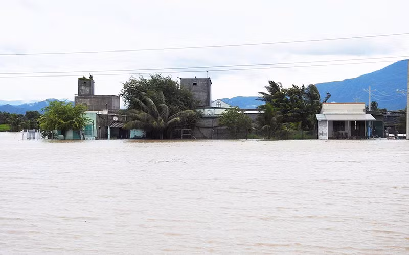 Một khu nhà dân ở vùng trũng thuộc xã Hộ Hải, huyện Ninh Hải, tỉnh Ninh Thuận bị cô lập giữa biển nước.