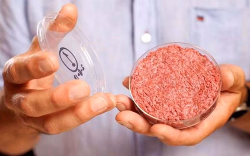 Ảnh minh họa. (Nguồn: AFP/TTXVN)