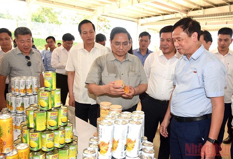 Thủ tướng cũng đi kiểm tra tiến độ xây dựng Trung tâm chế biến rau quả Doveco Sơn La. Thủ tướng Phạm Minh Chính khảo sát một số dự án, công trình tại Sơn La -0