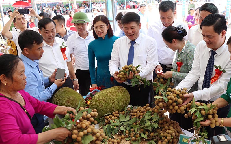 Sơn La xuất chính ngạch gần 30 tấn nhãn sang Trung Quốc