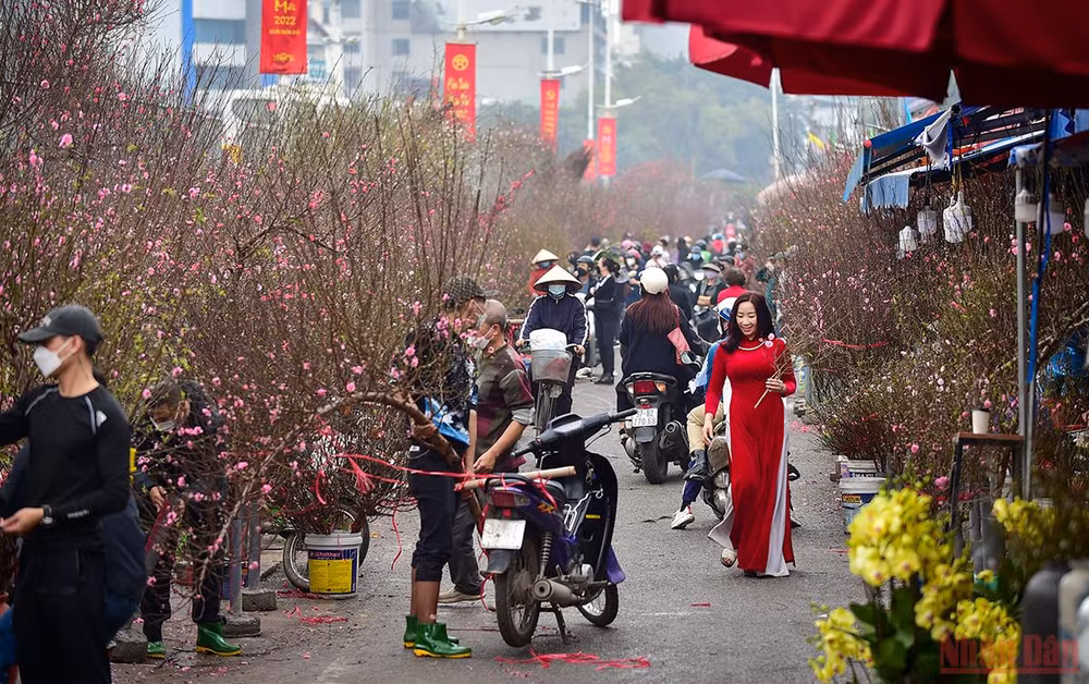 Hà Nội “thay áo mới” rực rỡ đón Xuân Nhâm Dần 2022 -0