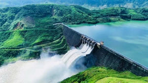 Nguồn sáng nơi đại ngàn Trường Sơn