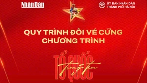 Quy trình đổi vé cứng concert "Tổ quốc trong tim"