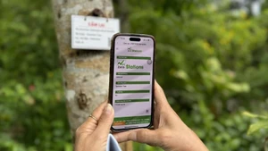 Khách du lịch tìm hiểu về những loài cây có lưu trữ carbon thông qua mã QR. (Ảnh: TTXVN)