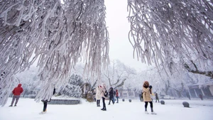 Ảnh minh họa: Khách du lịch vui chơi tại Núi Lư Sơn, Giang Tây, Trung Quốc ngày 8/12/2018. (Ảnh: THX/TTXVN)