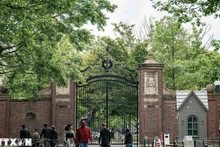 Khuôn viên Đại học Harvard ở Cambridge, bang Massachusetts, Mỹ. (Ảnh: THX)