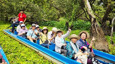 Rừng ngập mặn tại các tỉnh miền tây được du khách yêu thích. Ảnh: NAM ANH