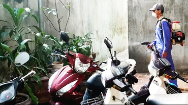 Ngăn chặn dịch sốt xuất huyết bùng phát