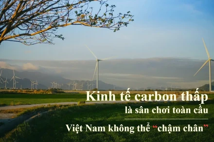 Kinh tế carbon thấp là sân chơi toàn cầu, Việt Nam không thể “chậm chân"
