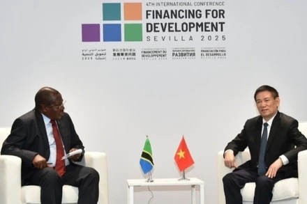 Phó Thủ tướng Chính phủ Hồ Đức Phớc gặp Phó Tổng thống Tanzania Philip Isdor Mpango. (Ảnh: Bộ Ngoại giao)