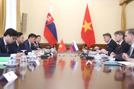Tham vấn chính trị Slovakia-Việt Nam. (Ảnh: BNG)
