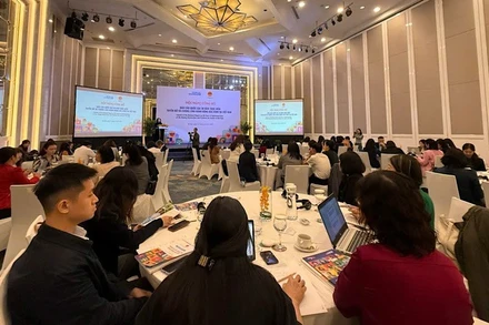 Toàn cảnh Hội nghị công bố Báo cáo quốc gia 30 năm thực hiện Tuyên bố và Cương lĩnh hành động Bắc Kinh tại Việt Nam.