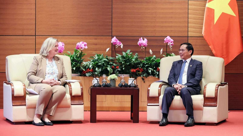 Phó Thủ tướng Chính phủ, Bộ trưởng Ngoại giao Bùi Thanh Sơn tiếp Quốc vụ khanh Bộ Ngoại giao Đan Mạch Lina Hansen. (Ảnh: VGP)