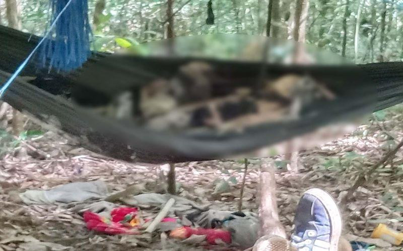 Một trong 2 thi thể chỉ còn xương khô được phát hiện trong rừng. 