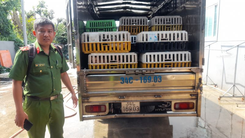 Phương tiện xe tải chứa 480 con mèo còn sống.