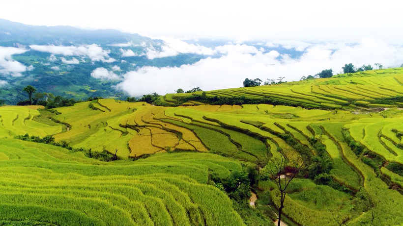 Ruộng bậc thang ở xã Hồng Thái, tỉnh Tuyên Quang. (Ảnh CHUNG-THẮNG)