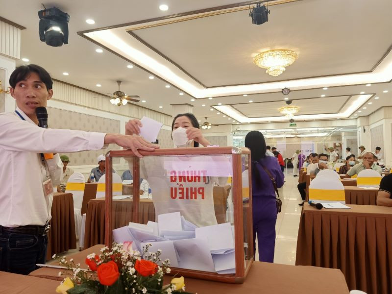 Công ty đấu giá Toàn Cầu trong cuộc đấu giá khai thác gỗ rừng trồng tại Thừa Thiên Huế.