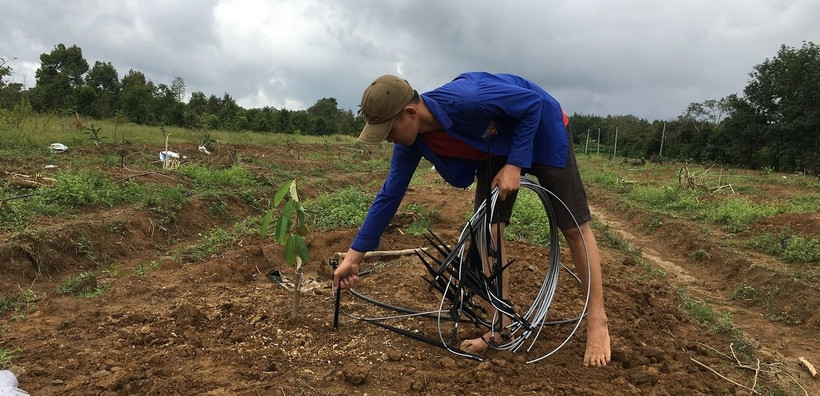 Lắp đặt hệ thống tưới nước tiết kiệm giúp cải thiện năng suất cây trồng.