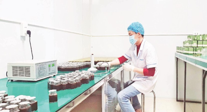 Công ty trách nhiệm hữu hạn Hatodo (Cao Bằng) ứng dụng khoa học công nghệ, sản xuất sản phẩm OCOP chất lượng.