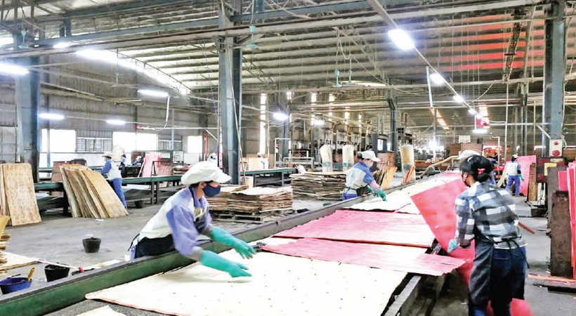 Nhà máy chế biến gỗ công nghiệp Vị Xuyên, tỉnh Hà Giang.