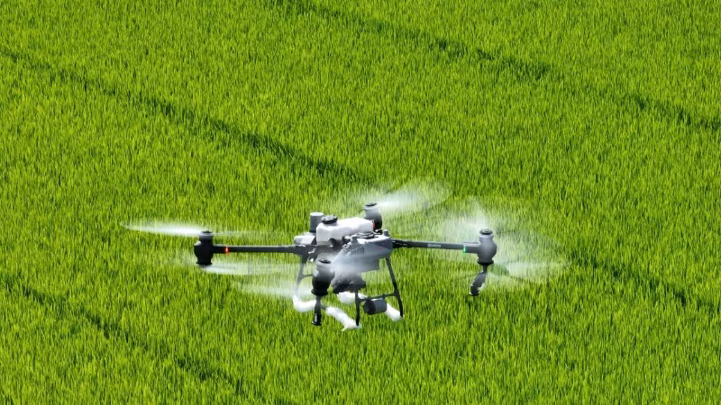 Phun thuốc bảo vệ thực vật phòng, trừ sâu bệnh hại lúa.