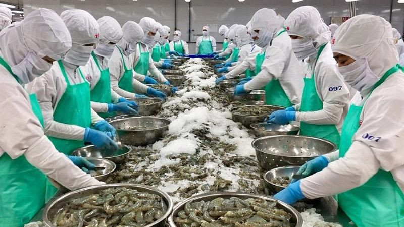 Tôm là một trong những mặt hàng thủy sản xuất khẩu quan trọng của Việt Nam sang Mỹ.